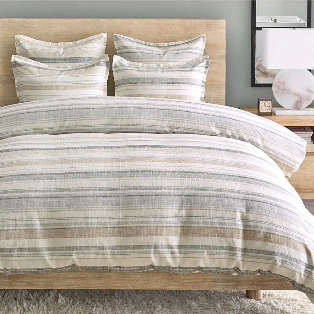 Pottery Barn King Duvet and 2 king shams